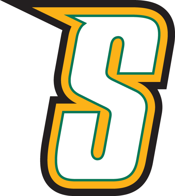 Siena Saints 2001-Pres Alternate Logo v5 iron on transfers for fabric